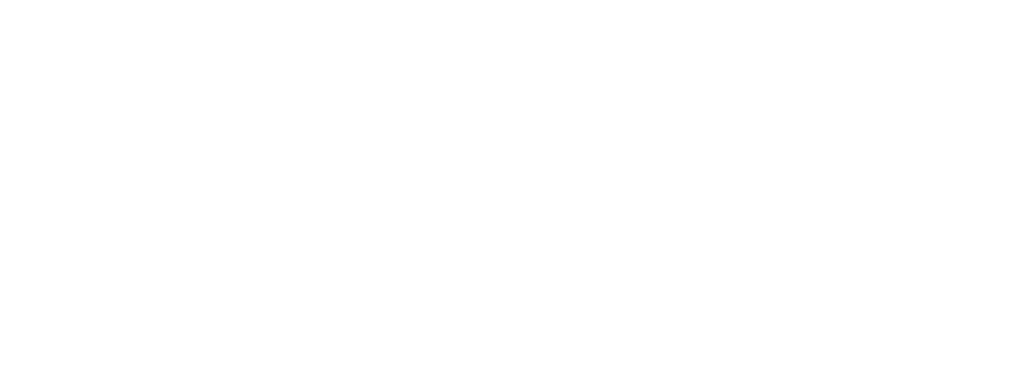 HawkAI Smart Solutions Logo
